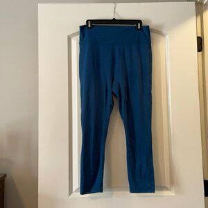 Fabletics work out pants